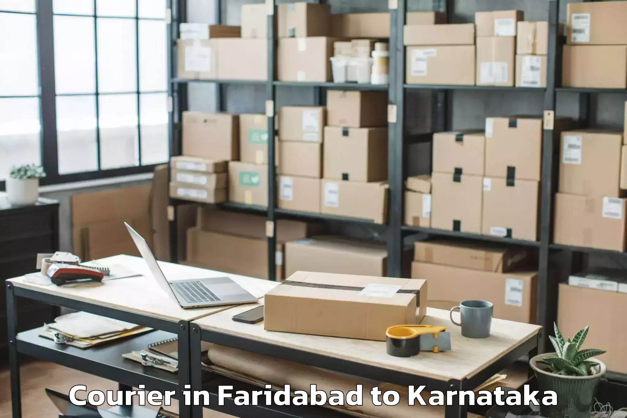 Professional Faridabad to Mudgere Courier